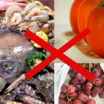 8 loại thực phẩm kỵ với các trái cây bạn nên biết nếu không muốn bị ngộ độc