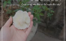 chấp niệm