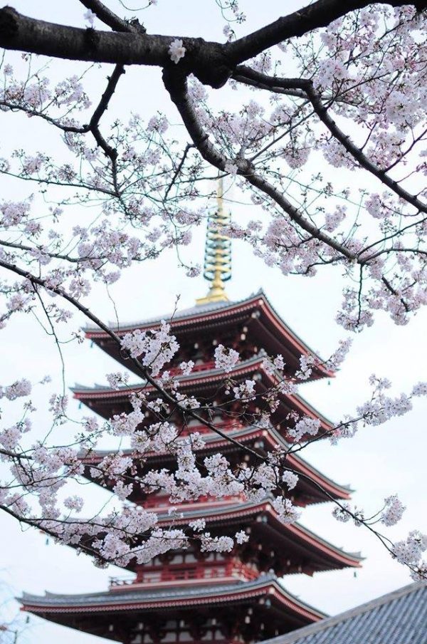 Kyoto