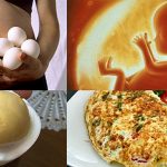 Tác dụng của trứng ngỗng đối với bà bầu, những câu hỏi thường gặp