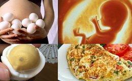 Tác dụng của trứng ngỗng đối với bà bầu, những câu hỏi thường gặp