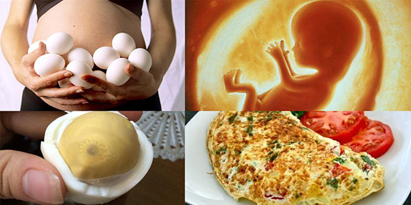 Tác dụng của trứng ngỗng đối với bà bầu, những câu hỏi thường gặp