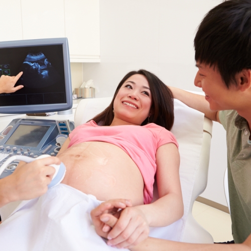 Sự phát triển của thai nhi: Thai nhi tuần thứ 7
