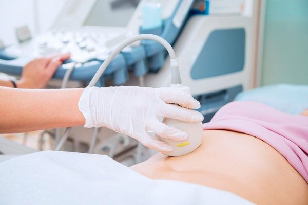 Sự phát triển của thai nhi: Tuần thứ 2