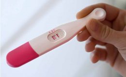 Sự phát triển của thai nhi: tuần thứ nhất