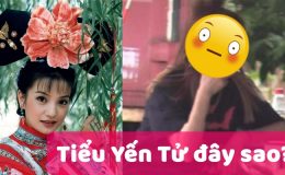 Triệu Vi