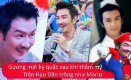 Trần Hạo Dân