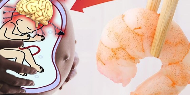 Khi mang thai có nên ăn tôm không?