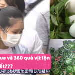 Mang 360 quả trứng hột vịt lộn và 10 ký nem chua, nữ du học sinh Việt bị bắt tại Nhật