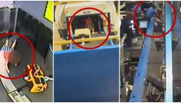 Cậu bé 2 tuổi trèo lên băng chuyền hành lý chơi