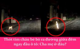 Thót tim cháu bé bò ra đường giữa đêm ngay đầu ô tô: Cha mẹ ở đâu?