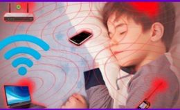 Tại sao không tắt WIFI trước khi ngủ lại có thể gây hại đến sức khỏe? Kết quả thí nghiệm cho thấy ảnh hưởng của sóng Wifi đáng lo ngại đến mức nào!