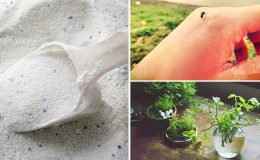 Bột giặt đâu chỉ dùng để giặt đồ