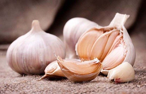 Xử lý hóc xương cá an toàn trong vòng một nốt nhạc
