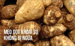 Cách gọt khoai sọ không bị ngứa đơn giản nhất