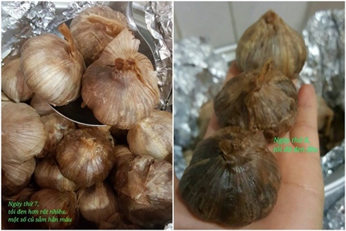 cach-lam-toi-den-tai-nha-bang-bia-voi-noi-com-dien-don-gian-chuan-nhat-dung-de-chua-benh-phan-10