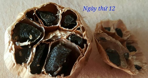 cach-lam-toi-den-tai-nha-bang-bia-voi-noi-com-dien-don-gian-chuan-nhat-dung-de-chua-benh-phan-14