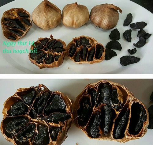 cach-lam-toi-den-tai-nha-bang-bia-voi-noi-com-dien-don-gian-chuan-nhat-dung-de-chua-benh-phan-16