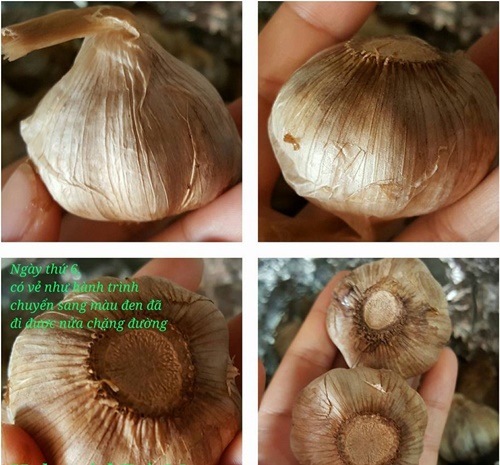 cach-lam-toi-den-tai-nha-bang-bia-voi-noi-com-dien-don-gian-chuan-nhat-dung-de-chua-benh-phan-9