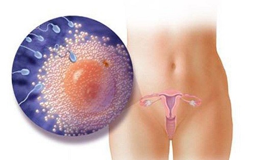 Lý do không ngờ tới khiến bạn mãi không thể thụ thai