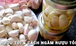 rượu tỏi