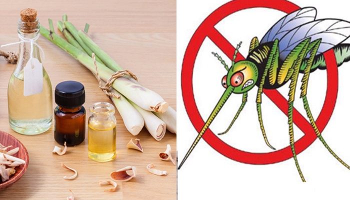 mẹo đuổi muỗi