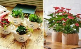 hoa để bàn làm việc