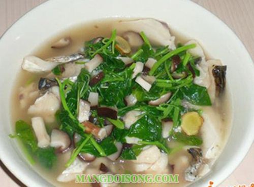 Trị táo bón bằng mồng tơi
