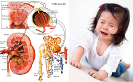 Khi trẻ em bị chấn thương thận