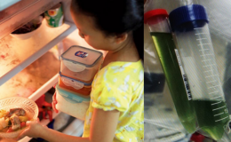 Ăn thức ăn bị hư hại, bé gái 6 tuổi bị nhiễm khuẩn Salmonella và bài tiết ra nước tiểu màu xanh lá