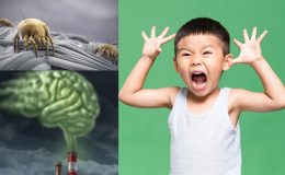 Thủ phạm khiến trẻ bị tăng động: Bụi mịn PM2.5, UFPM, mạt bụi nhà