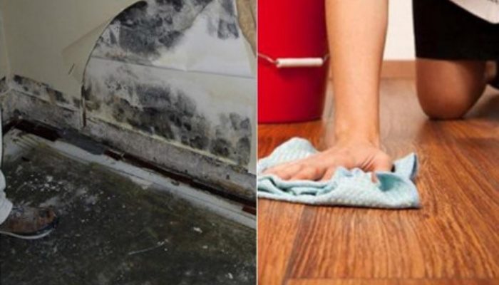 Trời âm u nồm ẩm, giải pháp nào cho căn nhà khô ráo tránh nhớp nháp khó chịu