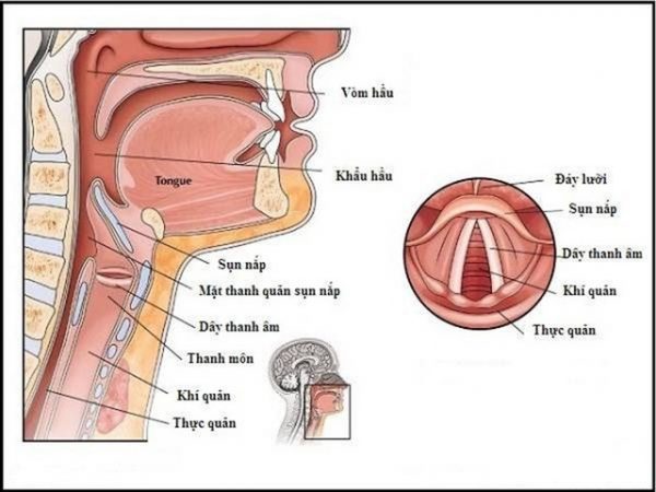 Mềm sụn thanh quản có thể tự khỏi nhưng bố mẹ đừng quên chăm sóc trẻ đúng cách khi bé mắc căn bệnh này!