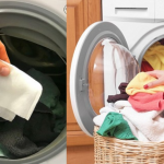 Bỏ khăn ướt vào máy giặt và những tác dụng bất ngờ. Bạn đã thử chưa?